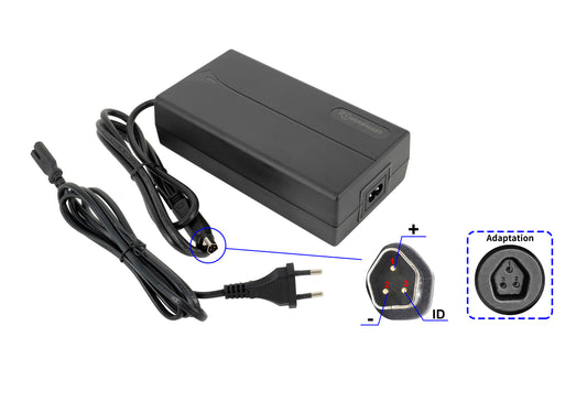 Caricabatterie Powersmart per bici elettrica 48V 2A per batterie Phylion (spina Pentagon)